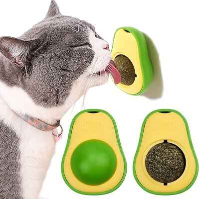 🐾 PisicAvo – Jucăria care transformă rutina pisicii tale!